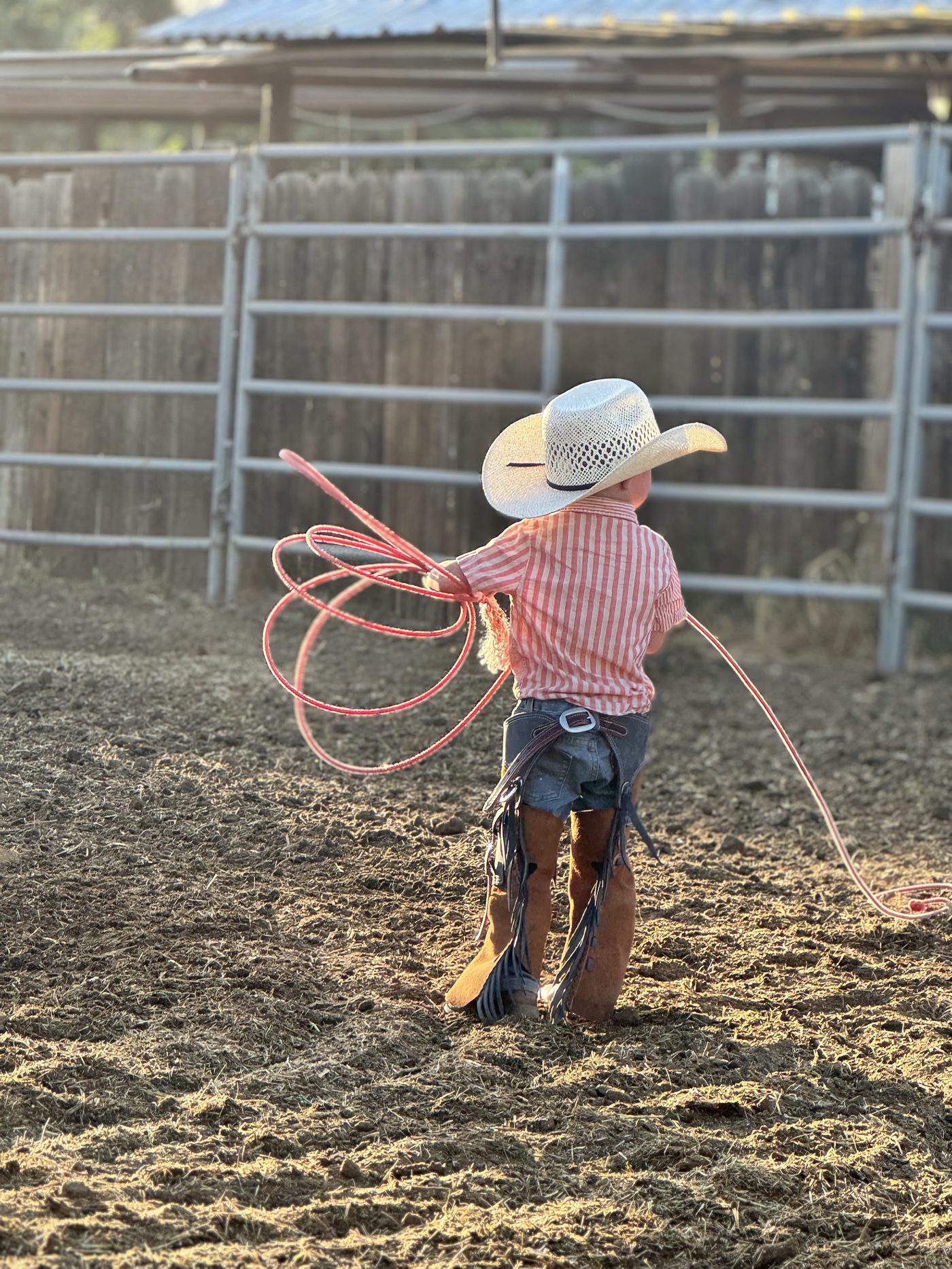 A small child in a straw cowboy hat and chaps swinging a rope in the arena at golden hour